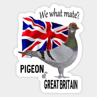 Pigeon of Great Britain Sticker